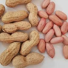 تصویر 1 از بادام زمینی بو داده خوش‌عطر و تازه